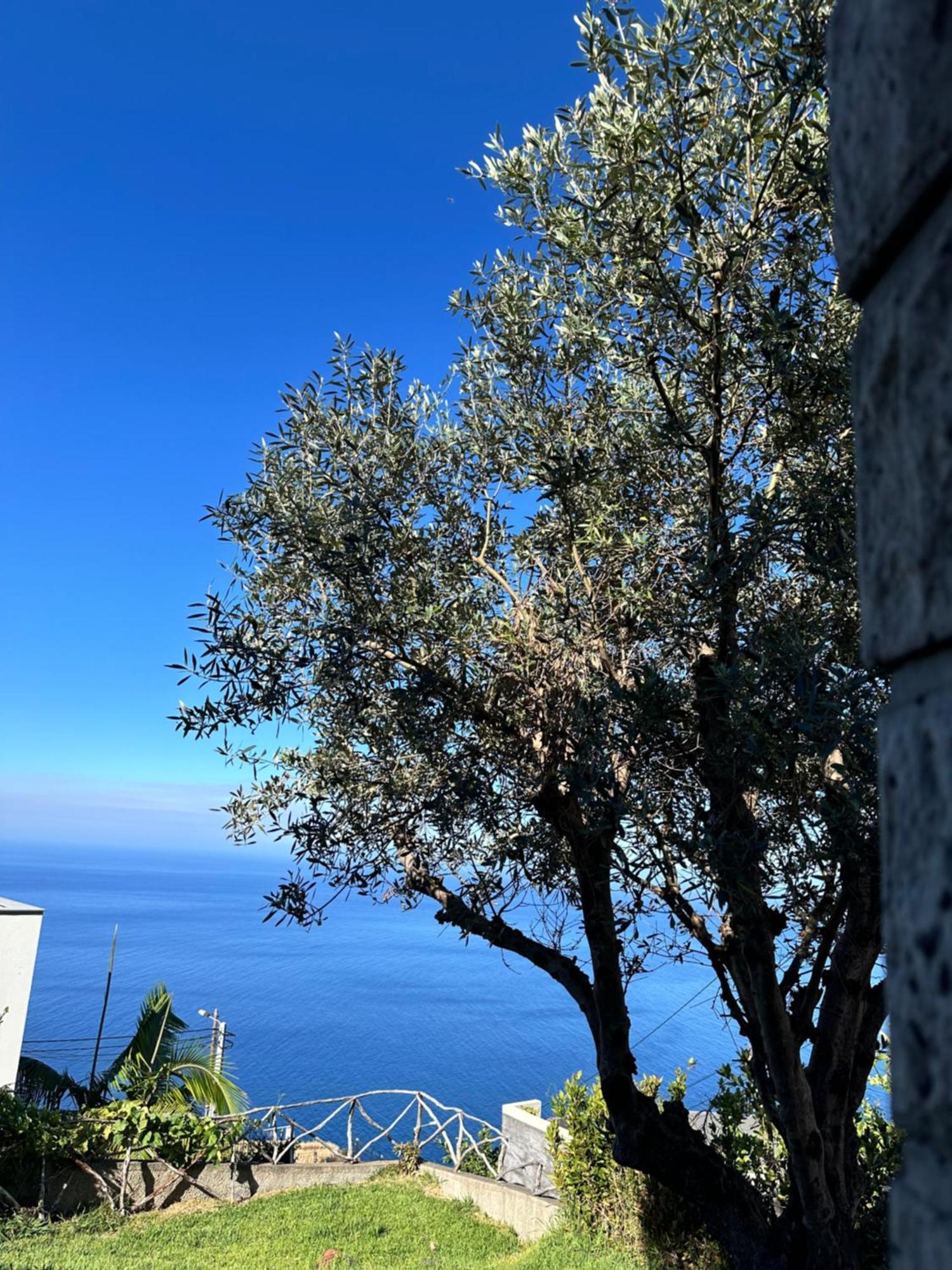 Cozy Sea View House Faja Da Ovelha Villa Calheta  Exterior foto